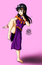 Rule 34 | 1girl, barefoot, black hair, bracelet, chi-chi (dragon ball), determined, dragon ball, dragonball z, dress, feet, fighting stance, jewelry, leg up, long hair, purple dress, puyasawyer, simple background, thighs, toenails, toes, watermark