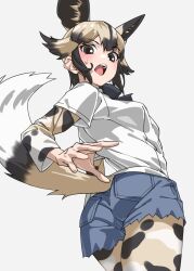 Rule 34 | 1girl, african wild dog (kemono friends), african wild dog print, animal ears, ass, black bow, black bowtie, blush, bow, bowtie, brown eyes, brown hair, collared shirt, cowboy shot, cutoff jeans, cutoffs, denim, denim shorts, dog ears, dog girl, dog tail, embarrassed, extra ears, from below, highres, jeans, kemono friends, light brown hair, long sleeves, looking at viewer, open mouth, pants, pantyhose, print pantyhose, print sleeves, shirt, short hair, short shorts, short sleeves, shorts, sidelocks, solo, sweatdrop, tail, tanabe (fueisei), white shirt