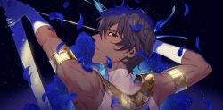 Rule 34 | 1boy, arjuna (fate), armor, arrow (projectile), bare shoulders, black eyes, blue petals, bow (weapon), close-up, dark-skinned male, dark skin, drawing bow, elbow gloves, fate/grand order, fate (series), from side, gloves, hair between eyes, holding, holding bow (weapon), holding weapon, jewelry, looking at viewer, male focus, semi finalfight, sky, sleeveless, solo, sparkle, star (sky), star (symbol), starry background, starry sky, upper body, weapon