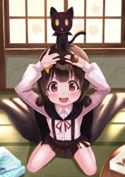 Rule 34 | 1girl, :d, absurdres, animal, animal on head, arms up, black cape, black cat, black skirt, blunt bangs, blush, brown hair, cape, cat, child, chomusuke, collared shirt, commentary request, cookie, food, foreshortening, from above, full body, hair ornament, hands on own head, highres, holding, holding food, huge filesize, indoors, komekko, kono subarashii sekai ni shukufuku wo!, long sleeves, looking at viewer, low twintails, miniskirt, on head, open mouth, pleated skirt, red eyes, shadow, shirt, short hair, sidelocks, sitting, skirt, smile, solo focus, star (symbol), star hair ornament, suspender skirt, suspenders, table, tatami, teeth, toketa (toketa15), twintails, upper teeth only, wariza, white shirt, window, window shadow