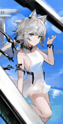 Rule 34 | 1girl, absurdres, animal ears, arknights, blue background, bracelet, breasts, cat ears, cat girl, dress, feet out of frame, green eyes, grey hair, halter dress, halterneck, hand up, highres, jewelry, long hair, looking at viewer, official alternate costume, ponytail, rosmontis (arknights), rosmontis (become anew) (arknights), s 4ik4, sleeveless, sleeveless dress, small breasts, white dress