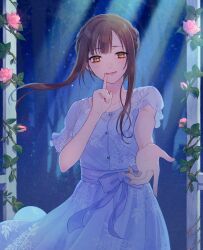 Rule 34 | 1girl, blue dress, braid, breasts, brown eyes, brown hair, chisumi, collarbone, commentary request, dress, finger to mouth, flower, hand up, highres, idolmaster, idolmaster cinderella girls, looking at viewer, mizumoto yukari, outstretched arm, parted lips, pink flower, pink rose, rose, shoes, shushing, sidelocks, small breasts, smile, solo, unworn shoes