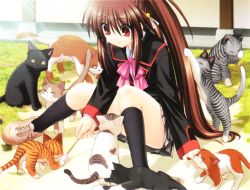 Rule 34 | 1girl, bow, brown hair, cat, little busters!, long hair, na-ga, natsume rin, pink bow, ponytail, red eyes, school uniform, serafuku, solo, too many, too many cats