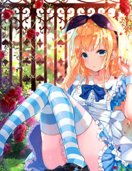 Rule 34 | 1girl, alice (alice in wonderland), alice in wonderland, apron, bad id, bad pixiv id, black footwear, black hairband, black ribbon, blonde hair, blue bow, blue dress, blue eyes, blurry, blurry background, bow, breasts, closed mouth, club (shape), commentary request, day, depth of field, diamond (shape), dress, fence, fingernails, flower, frilled apron, frilled dress, frills, hair ribbon, hairband, hand up, highres, knees together feet apart, long hair, looking at viewer, outdoors, playing card theme, pleated dress, puffy short sleeves, puffy sleeves, purple flower, recotasan, red flower, red rose, ribbon, rose, shoes, short sleeves, sidelocks, sitting, small breasts, solo, spade (shape), striped clothes, striped thighhighs, tears, thighhighs, very long hair, white apron, wrist cuffs