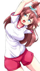 Rule 34 | 1girl, animal ears, aono3, arms up, blue eyes, brown hair, commentary, cowboy shot, ear ornament, grey hairband, gym shirt, gym shorts, gym uniform, hairband, highres, horse ears, horse girl, horse tail, leaning to the side, long hair, looking at viewer, mihono bourbon (umamusume), open mouth, red shorts, shirt, short sleeves, shorts, simple background, solo, standing, stretching, t-shirt, tail, umamusume, white background, white shirt