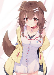 Rule 34 | 1girl, absurdres, animal ears, arms behind back, bare shoulders, blush, bone hair ornament, braid, breasts, brown eyes, brown hair, cartoon bone, cloa, collar, collarbone, commentary request, dog ears, dog girl, dog tail, dress, hair between eyes, hair ornament, hair over shoulder, highres, hololive, inugami korone, inugami korone (1st costume), jacket, leaning forward, long hair, looking at viewer, off shoulder, open clothes, open jacket, racchi., red collar, sleeveless, sleeveless dress, small breasts, smile, solo, tail, tail raised, twin braids, virtual youtuber, white dress, yellow jacket
