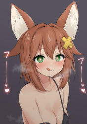 Rule 34 | 1girl, :q, absurdres, animal ears, blush, breasts, brown hair, cleavage, female focus, fox ears, grey background, hair ornament, heart, heart-shaped pupils, highres, indie virtual youtuber, looking at viewer, medium breasts, medium hair, nekoname tuna, simple background, smile, solo, steam, strap slip, symbol-shaped pupils, tongue, tongue out, upper body, virtual youtuber, x hair ornament, yakihebi