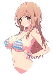 Rule 34 | 1girl, aikawa chiho, bikini, bikini top only, blue bikini, blush, breasts, brown eyes, brown hair, collarbone, commentary request, covered erect nipples, highres, large breasts, long hair, looking at viewer, mel (melty pot), navel, simple background, solo, striped bikini, striped clothes, swimsuit, wet, white background, yuyushiki