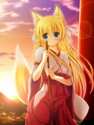 Rule 34 | 1girl, animal ears, blonde hair, blue eyes, blush, borrowed character, fox ears, fox tail, highres, japanese clothes, konoha (nozomi tsubame), lens flare, long hair, looking at viewer, miko, original, sky, solo, sun, sunset, syroh, tail