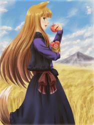Rule 34 | 1girl, animal ears, apple, bad id, bad pixiv id, bag, cloud, day, dress, fang, female focus, field, food, fruit, highres, holo, long hair, mountain, nature, outdoors, profile, raisu, red eyes, sky, solo, spice and wolf, tail, wolf ears, wolf tail