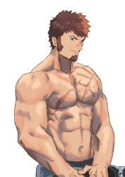 Rule 34 | 1boy, abs, alternate hairstyle, bara, beard, blue eyes, brown hair, facial hair, fate/grand order, fate (series), goatee, highres, large pectorals, long sideburns, male focus, monmonhomon, muscular, napoleon bonaparte (fate), pectorals, scar, topless male, sideburns, sketch, solo, white background