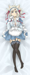 Rule 34 | allen walker, animal ears, apron, breasts, cat ears, d.gray-man, gender request, genderswap, gloves, long image, maid, maid apron, maid headdress, tall image, thighhighs, white hair