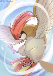 Rule 34 | absurdres, animal focus, bird, black eyes, bright pupils, commentary request, creatures (company), day, flying, game freak, gen 1 pokemon, highres, looking down, nintendo, no humans, outdoors, pidgeotto, pokemon, pokemon (creature), solo, talons, tkc (user snjd8547), white pupils