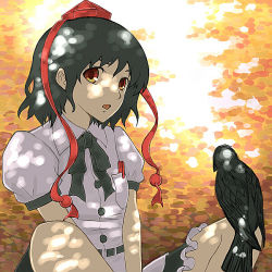 Rule 34 | 1girl, alioth (pixiv), arioto, bad id, bad pixiv id, bird, black hair, breast pocket, crow, dappled sunlight, female focus, hat, looking at viewer, open mouth, pen, pocket, red eyes, red hat, ribbon, shade, shameimaru aya, short hair, sitting, solo, sunlight, touhou