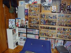 Rule 34 | bookshelf, figure, no humans, otaku room, photo (medium)