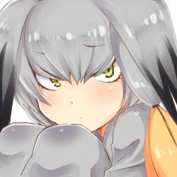Rule 34 | 10s, 1girl, bird wings, blush, closed mouth, frown, green eyes, grey legwear, hair between eyes, head wings, highres, kemono friends, long hair, looking at viewer, mugi (user khzh5853), multicolored hair, orange hair, shoebill (kemono friends), side ponytail, silver hair, simple background, solo, white background, wings