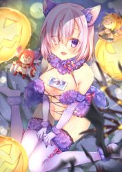 Rule 34 | 1girl, animal ears, artoria pendragon (all), artoria pendragon (fate), bare shoulders, blurry, blush, breasts, character doll, chihio, chihiro (khorosho), cleavage, cosplay, depth of field, elbow gloves, elizabeth bathory (brave) (fate), elizabeth bathory (fate), eyes visible through hair, fang, fate/grand order, fate (series), fur-trimmed gloves, fur-trimmed legwear, fur collar, fur trim, gloves, hair over one eye, halloween costume, highres, jack-o&#039;-lantern, large breasts, looking at viewer, mash kyrielight, mash kyrielight (dangerous beast), navel, official alternate costume, open mouth, purple eyes, purple hair, saber (fate), shielder (fate/grand order) (cosplay), sitting, solo, tail, tawawa challenge, thighhighs, thighs, v arms, wariza, wolf ears, wolf tail