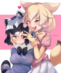 Rule 34 | 10s, 2girls, :d, animal ears, black hair, blonde hair, blush, bow, bowtie, breasts, brown eyes, commentary request, common raccoon (kemono friends), dark fuu, ear licking, fennec (kemono friends), fox ears, fox tail, fur collar, hand on another&#039;s face, heart, heart-shaped pupils, heavy breathing, highres, kemono friends, licking, medium breasts, multiple girls, one eye closed, open mouth, pink sweater, puffy short sleeves, puffy sleeves, raccoon ears, raccoon tail, saliva, saliva trail, short-sleeved sweater, short hair, short sleeves, skirt, small breasts, smile, sweater, sweater vest, symbol-shaped pupils, tail, tears, tongue, tongue out, wavy mouth, white hair, yuri