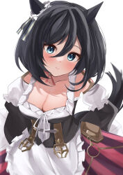 Rule 34 | 1girl, absurdres, animal ears, bare shoulders, black hair, blue eyes, bodice, breasts, choker, cleavage, commentary request, detached sleeves, dirndl, ear ornament, ear scrunchie, eishin flash (umamusume), german clothes, hair between eyes, highres, horse ears, horse girl, horse tail, large breasts, long sleeves, medium breasts, red choker, scrunchie, short hair, simple background, solo, tail, umamusume, white background, white scrunchie, yokawa nagi