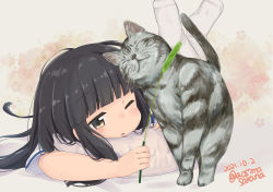 Rule 34 | 1girl, animal, aoshima sakana, black hair, blunt bangs, blush, cat, cat teaser, closed eyes, commission, dated, hatsuyuki (kancolle), highres, hime cut, kantai collection, long hair, lying, nuzzle, on stomach, one eye closed, parted lips, pillow, sailor collar, school uniform, serafuku, short sleeves, simple background, skeb commission, solo, twitter username, white legwear