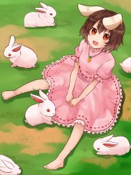 Rule 34 | 1girl, :3, animal, animal ears, barefoot, black hair, blush, carrot necklace, clover, dress, four-leaf clover, grass, highres, inaba tewi, inamori (inari00000), looking at viewer, necklace, open mouth, pink dress, puffy short sleeves, puffy sleeves, rabbit, rabbit ears, red eyes, short hair, short sleeves, sitting, solo, touhou
