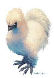Rule 34 | animal focus, bad id, bad pixiv id, bird, blue eyes, chicken, commentary request, dated, feathers, full body, highres, long hair, manino (mofuritaionaka), no humans, original, rooster, signature, simple background, solo, standing, white background, white bird, white feathers