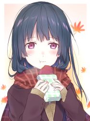 Rule 34 | 1girl, autumn leaves, black hair, coat, commentary request, eating, food, highres, holding, kakizato, long hair, looking at viewer, original, purple eyes, scarf, solo, sweet potato