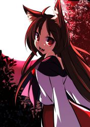 Rule 34 | 1girl, animal ears, bare shoulders, brown hair, dress, fang, highres, imaizumi kagerou, long hair, long sleeves, looking at viewer, looking back, mankun, open mouth, red eyes, smile, solo, touhou, wolf ears