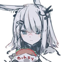 Rule 34 | 1girl, animal ears, arknights, blue eyes, burger, food, frostnova (arknights), grey hair, hair ornament, hairclip, holding, holding food, long hair, portrait, rabbit ears, rabbit girl, scar, scar on face, scar on nose, simple background, sketch, solo, sukima (crie), white background
