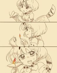Rule 34 | &gt;:o, 10s, 1girl, 3koma, :o, angry, bad id, bad twitter id, bare shoulders, bow, bowtie, comic, commentary request, crying, d:, d:&lt;, elbow gloves, fire, gloves, highres, incoming attack, kemono friends, looking at viewer, matches, monochrome, open mouth, paper airplane, parted lips, serval (kemono friends), serval print, shirt, short hair, simple background, spot color, striped tail, sweat, tail, tears, trembling, v-shaped eyebrows, yui tmnimni