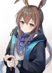 Rule 34 | 1girl, amiya (arknights), animal ears, arknights, ascot, azuazu 0405, black coat, blue ascot, blue choker, blue eyes, blush, brown hair, choker, closed mouth, clothes writing, coat, coffee, coffee mug, cup, eyebrows hidden by hair, from above, highres, holding, holding cup, jewelry, long hair, long sleeves, looking at viewer, mug, multiple rings, open clothes, open coat, ponytail, rabbit ears, ring, shirt, sidelocks, smile, solo, steam, upper body, very long hair, white shirt