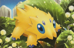 Rule 34 | blue eyes, creature, creatures (company), day, fence, full body, game freak, gen 5 pokemon, himeno kagemaru, joltik, nintendo, no humans, official art, outdoors, plant, pokemon, pokemon (creature), pokemon tcg, solo, third-party source, wooden fence