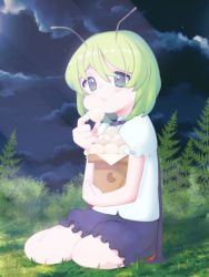 Rule 34 | 1girl, :t, antennae, black cape, black shorts, blush, cape, closed mouth, cloud, collared shirt, commentary request, eating, fern, food, food request, full body, grass, green eyes, green hair, kari (atsuki 565), looking at viewer, night, outdoors, red cape, shirt, short hair, short sleeves, shorts, sitting, sky, solo, star (sky), starry sky, touhou, two-sided cape, two-sided fabric, wagashi, white shirt, wriggle nightbug
