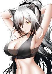 Rule 34 | 1girl, :3, absurdres, an yasuri, animal ears, arknights, armpits, arms behind head, arms up, bandeau, bare arms, bare shoulders, black hair, breasts, cat ears, cleavage, collarbone, covered erect nipples, crop top, gradient hair, highres, large breasts, long hair, looking at viewer, midriff, multicolored hair, navel, ponytail, schwarz (arknights), silver hair, simple background, sleeveless, smile, solo, stomach, upper body, white background, yellow eyes