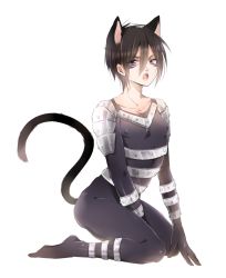 Rule 34 | 1boy, alternate hair length, alternate hairstyle, animal ears, black hair, cat boy, cat ears, cat tail, facial mark, highres, kneeling, male focus, one-punch man, onsoku no sonic, open mouth, seitarou, short hair, solo, tail