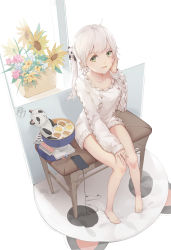 Rule 34 | 1girl, absurdres, ahoge, aran sweater, bare legs, barefoot, blush, book, box, cable knit, carpet, cellphone, collarbone, cookie, dress, earphones, flower, food, full body, green eyes, hair ornament, hand on own cheek, hand on own face, hand up, highres, indoors, long sleeves, looking at viewer, one side up, original, panda hair ornament, parted lips, phone, pink flower, pink rose, plant, potted plant, r/h, rose, silver hair, sitting, smartphone, smile, solo, stuffed animal, stuffed panda, stuffed toy, sunflower, sweater, sweater dress, white dress, white sweater, window