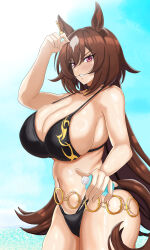 Rule 34 | 1girl, absurdres, alternate costume, animal ears, bare shoulders, bikini, black bikini, blue sky, bottle, breasts, brown hair, commentary request, cowboy shot, day, ear ornament, grin, hair between eyes, highres, holding, holding bottle, horse ears, horse girl, horse tail, large breasts, long hair, looking at viewer, multicolored hair, outdoors, red eyes, revealing clothes, sirius symboli (umamusume), sky, smile, solo, streaked hair, swimsuit, tail, tessa (uma orfevre), umamusume, very long hair, white hair