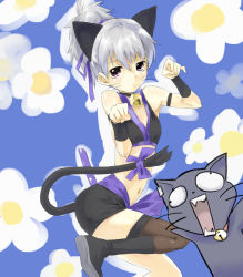 Rule 34 | 00s, 1girl, animal ears, bell, black cat, blush, boots, bow, cat, cat ears, cat tail, collar, darker than black, duplicate, flat chest, grey hair, long hair, mao (darker than black), midriff, paw pose, pink eyes, ponytail, revision, shorts, solo, tail, thighhighs, u (the unko), whiskers, yin (darker than black)