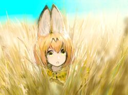 Rule 34 | 10s, 1girl, :o, amo (silent bomb19), animal ears, bad id, bad twitter id, bare shoulders, blue sky, bow, bowtie, day, elbow gloves, gloves, grass, hair between eyes, kemono friends, looking at viewer, orange gloves, orange hair, outdoors, parted lips, serval (kemono friends), serval print, short hair, sky, solo, yellow bow, yellow bowtie, yellow eyes