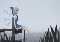 Rule 34 | blue dress, blue eyes, blue hair, blue ribbon, cirno, dress, fog, from side, grass, ice, ice wings, lake, looking up, pier, ribbon, sitting, solo, torinari (dtvisu), touhou, water, wings