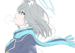 Rule 34 | 1girl, animal ear fluff, animal ears, blue archive, blue eyes, blue jacket, blue scarf, cross hair ornament, grey hair, hair ornament, halo, jacket, looking up, masabodo, parted lips, scarf, shiroko (blue archive), short hair, simple background, solo, upper body, white background