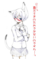 Rule 34 | 1girl, animal ears, blue eyes, blush, cat ears, cat tail, flat chest, glasses, highres, looking at viewer, majima yuki, short hair, simple background, skirt, solo, tail, translation request, tsundere, white background