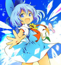 Rule 34 | 1girl, absurdres, blue bow, blue dress, blue eyes, blue hair, bow, cirno, collared shirt, cowboy shot, detached wings, dress, fairy, fang, flower, hair between eyes, hair bow, highres, ice, ice wings, ichizen (o tori), morning glory, one-hour drawing challenge, open mouth, pink flower, puffy short sleeves, puffy sleeves, shirt, short hair, short sleeves, skin fang, smile, solo, tanned cirno, touhou, white shirt, wings