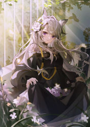 Rule 34 | 1girl, absurdres, animal ear fluff, animal ears, arknights, bag, black dress, bubble skirt, closed mouth, cowboy shot, dress, flower, hair flower, hair ornament, hairband, heavyrain (arknights), heavyrain (tranquil moss) (arknights), highres, horse ears, indoors, light rays, long hair, looking at viewer, official alternate costume, purple eyes, purple flower, purple rose, rose, silver hair, skirt, skirt basket, smile, solo, striped clothes, striped hairband, very long hair, white flower, white rose, window, xiuxiuya