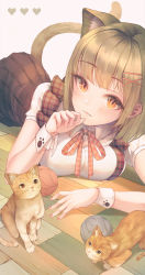 Rule 34 | 1girl, absurdres, animal, animal ears, black skirt, blunt bangs, blush, breasts, brown hair, cat, cat ears, cat tail, elbow rest, hair ornament, hairclip, highres, large breasts, looking at viewer, lying, nail polish, neck ribbon, on stomach, orange cat, orange eyes, original, patch oxxo, paw pose, pink nails, plaid, plaid ribbon, pleated skirt, red ribbon, ribbon, shirt, short hair, short sleeves, skirt, slit pupils, solo, string, tail, wrist cuffs, x hair ornament