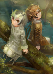 Rule 34 | 10s, 2girls, :/, :|, arms at sides, backlighting, black hair, blonde hair, brown coat, brown eyes, brown hair, buttons, closed mouth, coat, collar, eurasian eagle owl (kemono friends), expressionless, from above, from behind, fur collar, gradient hair, grey coat, grey hair, hair between eyes, head wings, highres, in tree, kemono friends, long sleeves, looking at viewer, looking back, looking up, mizore akihiro, multicolored hair, multiple girls, nature, northern white-faced owl (kemono friends), outdoors, pantyhose, pocket, river, short hair, sitting, sitting in tree, sleeve cuffs, tail, tree, tsurime, water, white hair, white legwear, wings, yellow eyes