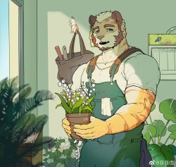 Rule 34 | 1boy, absurdres, animal ears, apron, bag, bara, beard, blue eyes, facial hair, flower, garden, green apron, highres, holding vase, indoors, large pectorals, looking at viewer, male focus, mature male, me-me (mouact2), muscular, muscular male, orange fur, original, pectorals, plant, solo, sunlight, thick eyebrows, tiger boy, tiger ears, white flower