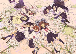 Rule 34 | 6+girls, cherry blossoms, circle formation, legs, multiple girls, original, petals, purimari, school uniform, serafuku, sleeping