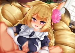 Rule 34 | 1girl, :d, alternate costume, animal ears, blonde hair, blush, breasts squeezed together, breasts, breath, cum, cum in clothes, ejaculation, elbow gloves, enmaided, eyes visible through hair, flower, fox ears, fox tail, gloves, hair flower, hair ornament, hetero, indoors, kayou (sennen sensou aigis), large breasts, long hair, looking at viewer, maid, minaha (playjoe2005), multiple tails, open mouth, paizuri, paizuri under clothes, penis, pink eyes, puffy short sleeves, puffy sleeves, sennen sensou aigis, short sleeves, smile, solo focus, tail, white gloves, window
