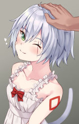 Rule 34 | 1girl, bare shoulders, blush, cat tail, fate/apocrypha, fate (series), green eyes, headpat, heart, highres, jack the ripper (fate/apocrypha), looking at viewer, mitsukichi, official alternate costume, pov, scar, scar across eye, scar on face, short hair, silver hair, smile, solo focus, tail